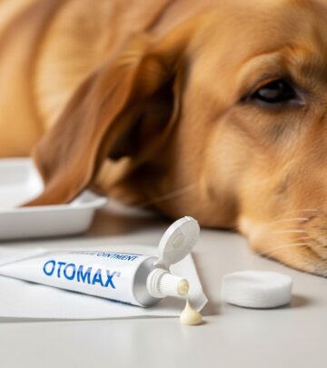 Complete guide to Otomax ointment: uses, dosage, and ear infection treatment for dogs.