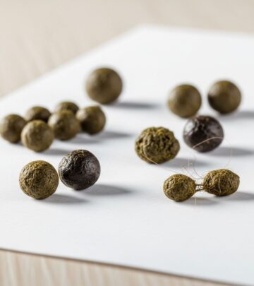 Learn what your rabbit's poop reveals about their health and nutrition.