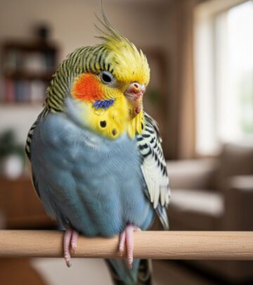 Learn to identify early warning signs of illness in pet birds and when to seek veterinary care.
