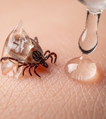 Discover why common tick removal hacks don't work and learn the safe, effective method.