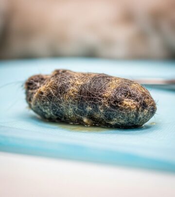Understanding hairballs in cats: causes, prevention, and when to seek veterinary care.