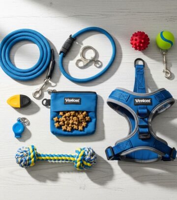 realted-article-image