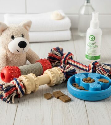 realted-article-image