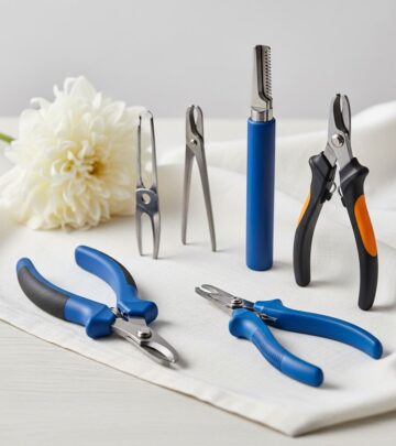 Discover the best clippers, grinders, and techniques to trim your dog's nails safely at home without pain or stress.